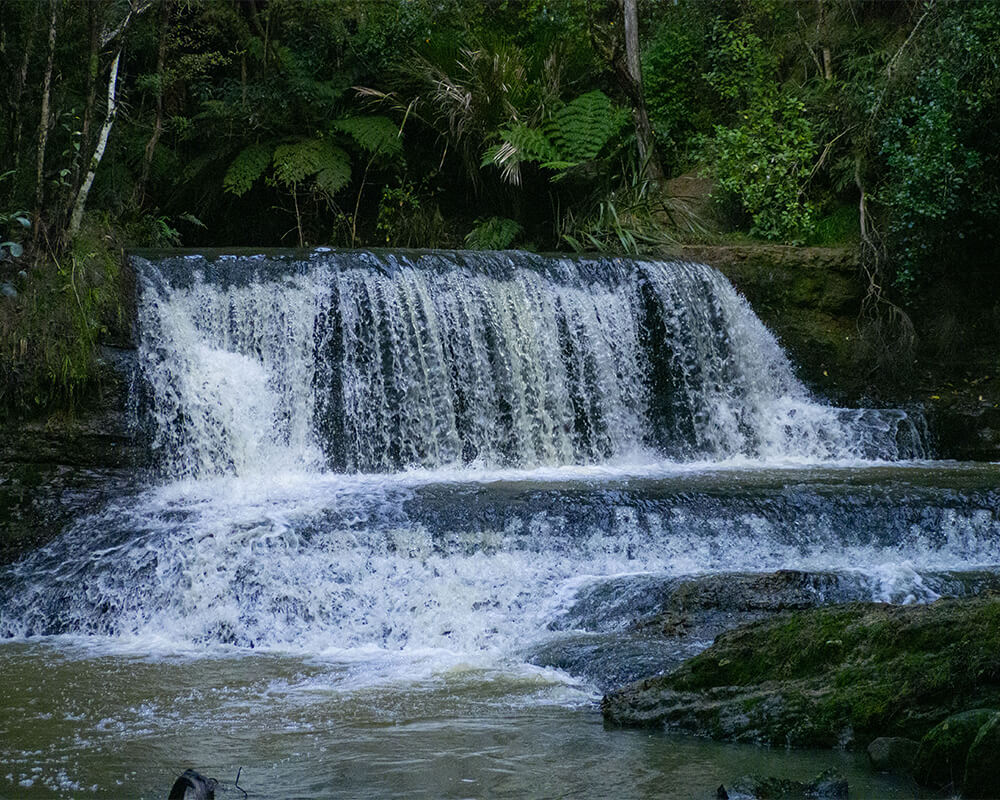 Kleiner Wasserfall im Wald