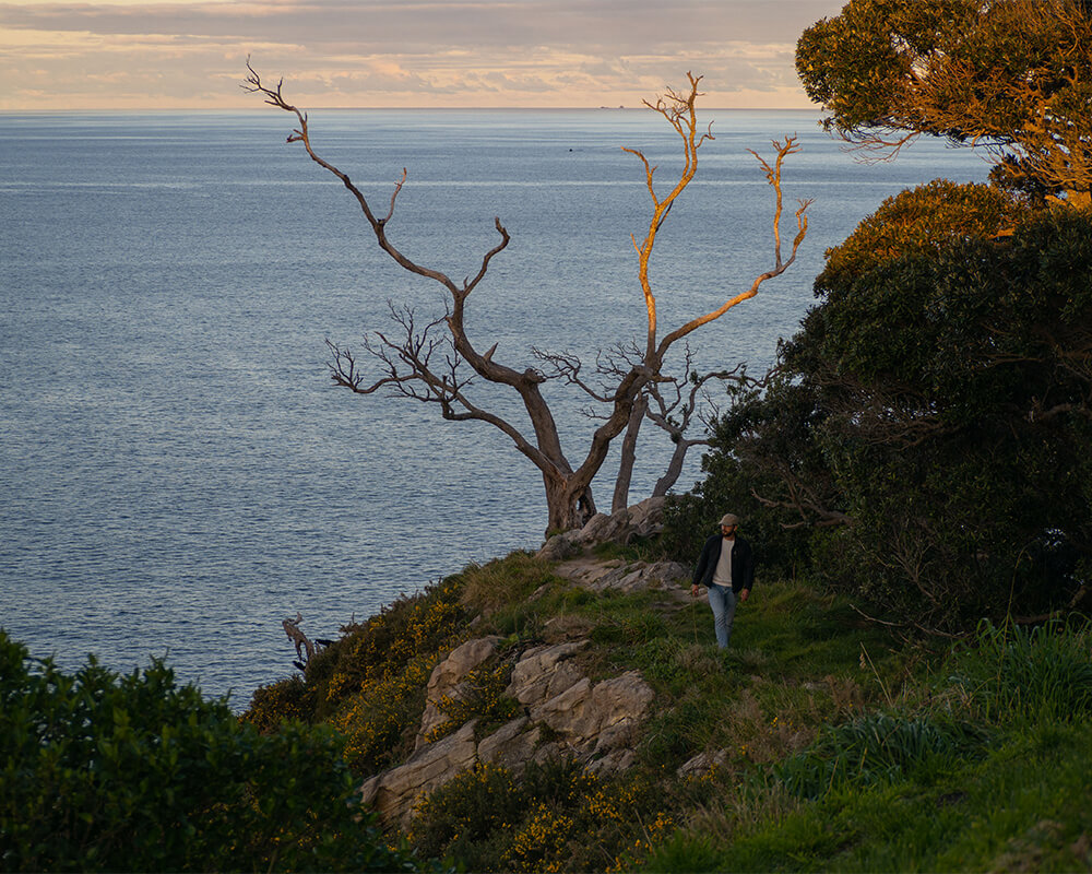 Junger Mann auf einer Klippe mit alten Baum bei Sonnenuntergang