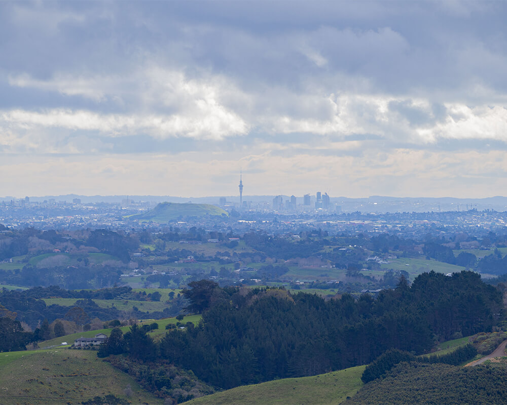 Ausblick über Wälder, im Hintergrund Aucklands Skyline