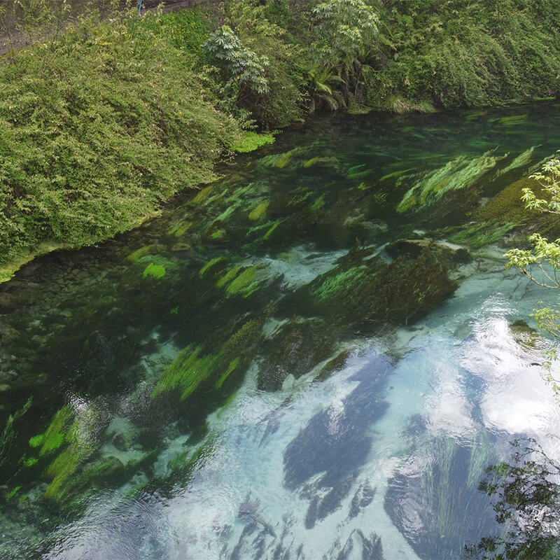 Blauer Fluss mit Mos