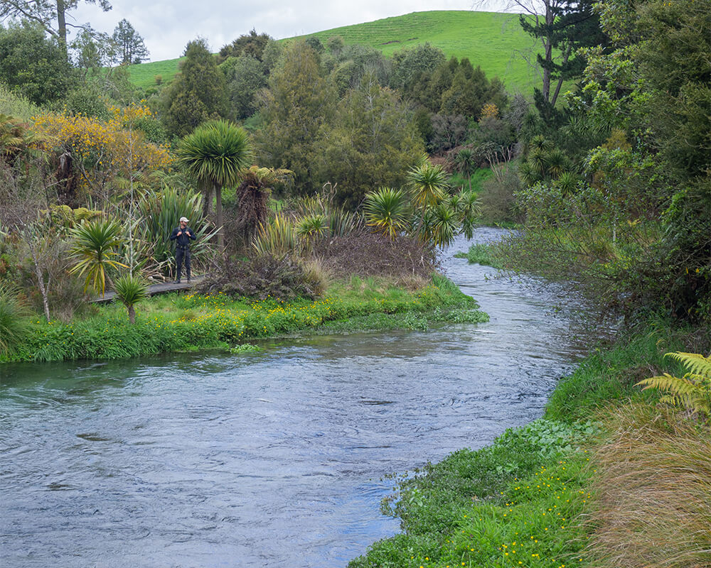 Fluss, der durch eine grüne Landschaft fließt