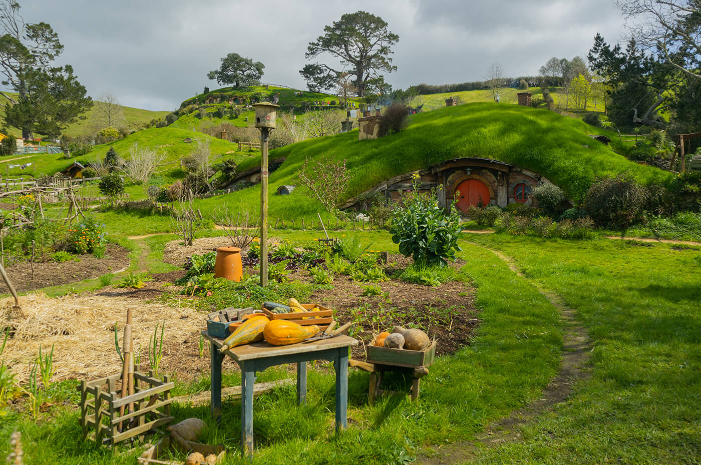 Hobbiton – Ein Ausflug ins Paradies