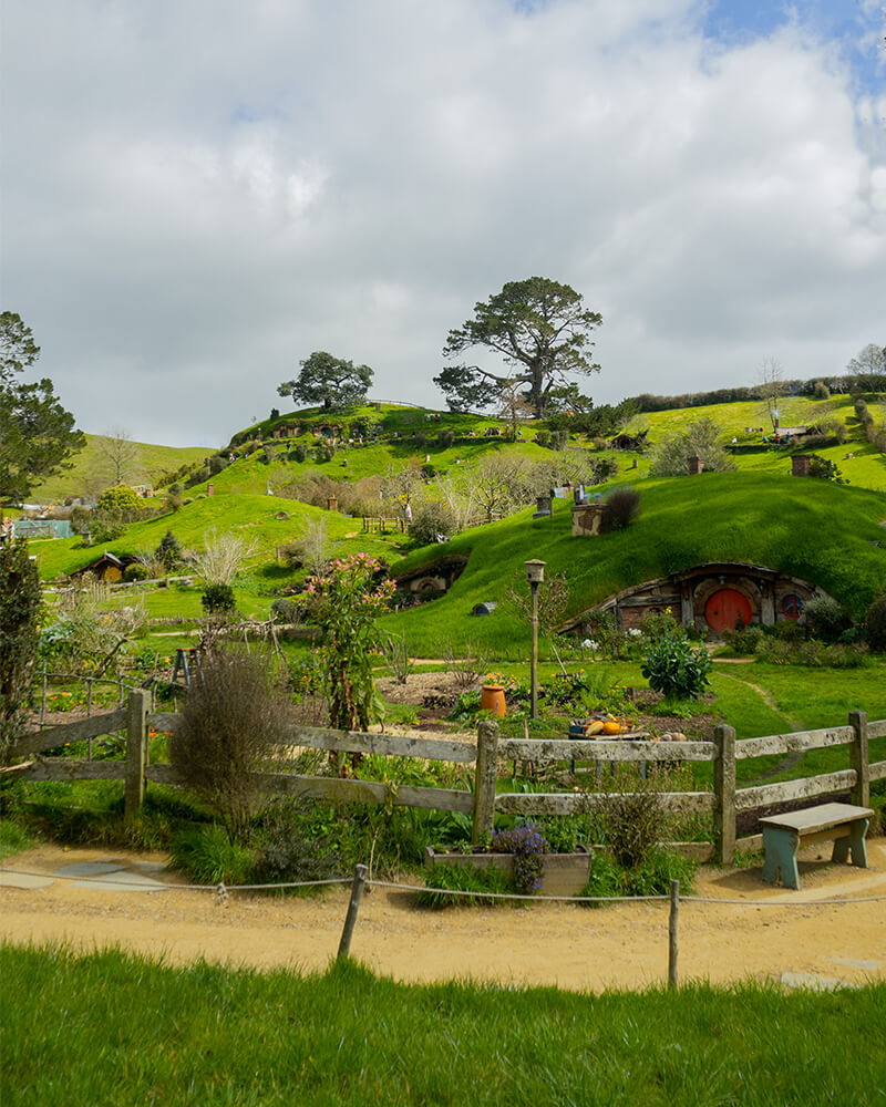 Blick auf Grüne Hügel mit Hobbit-Höhlen