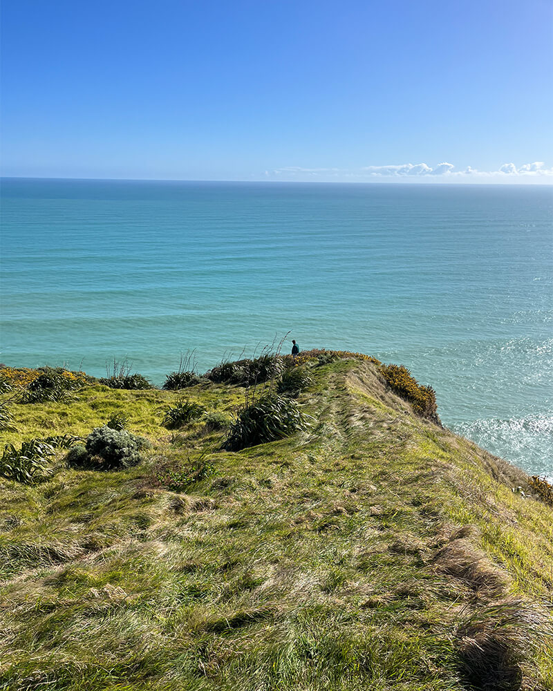 Grüne Klippe mit Blick aufs Meer