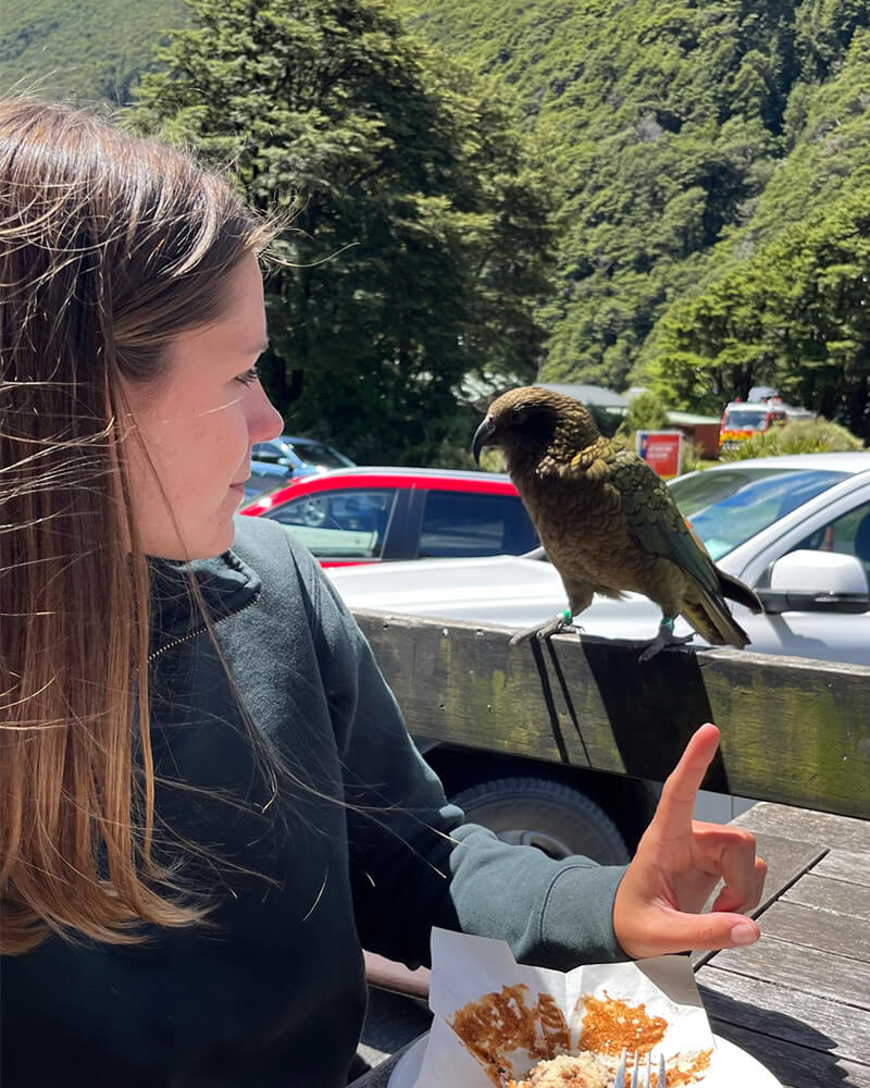 junge Frau sitzt an einem Tisch, auf dem ein Kea Vogel sitzt