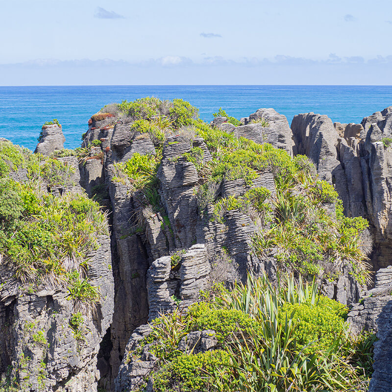 Felsen der Pancake Rocks mit etwas Gras